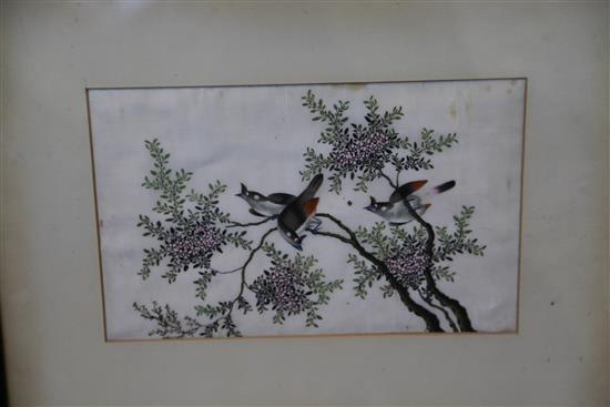 A set of five Chinese pith paintings of birds, c.1900, 20 x 32cm, later mounted and framed